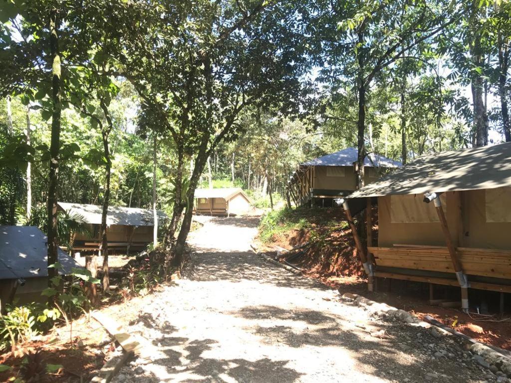 El Pulpo Safari Lodge Ojochal Eksteriør billede