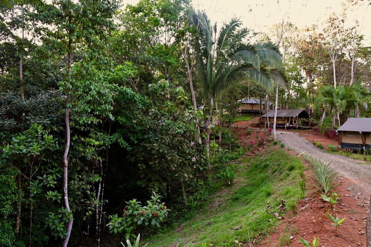 El Pulpo Safari Lodge Ojochal Eksteriør billede