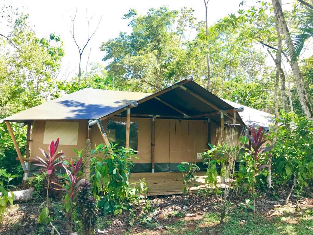 El Pulpo Safari Lodge Ojochal Eksteriør billede