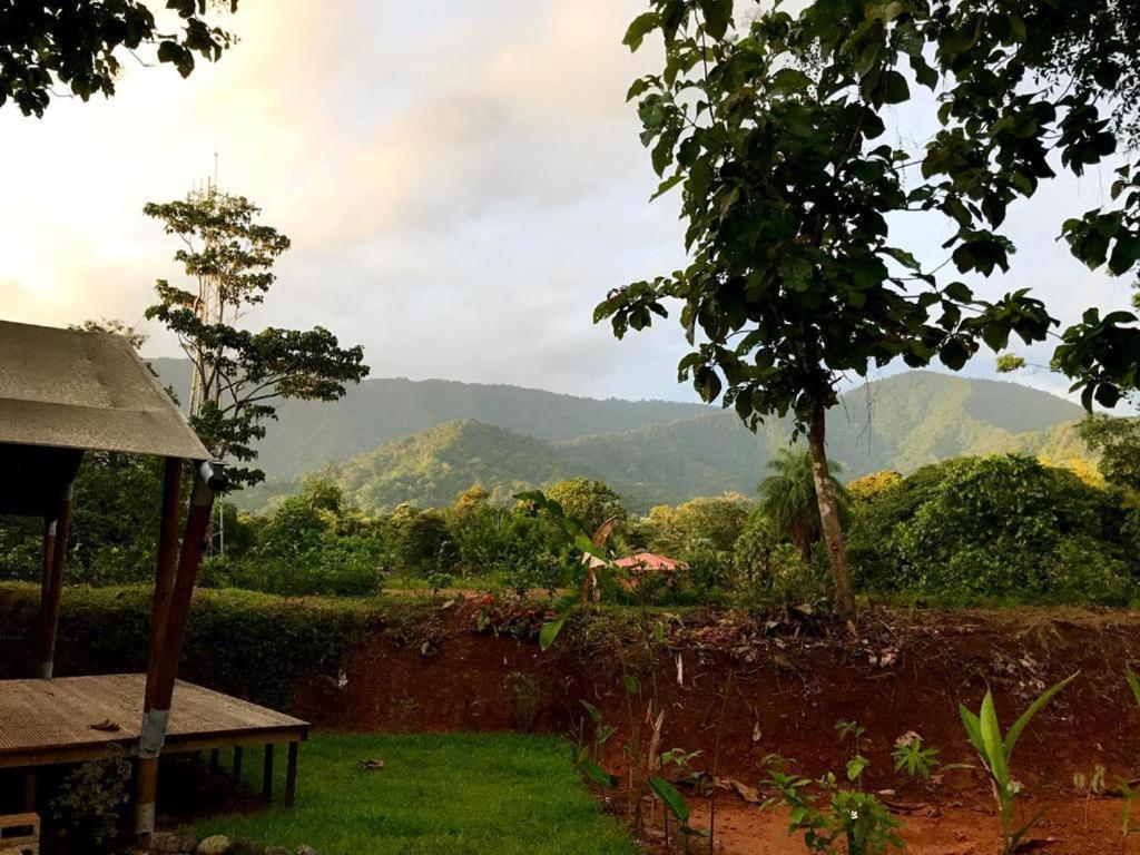 El Pulpo Safari Lodge Ojochal Eksteriør billede