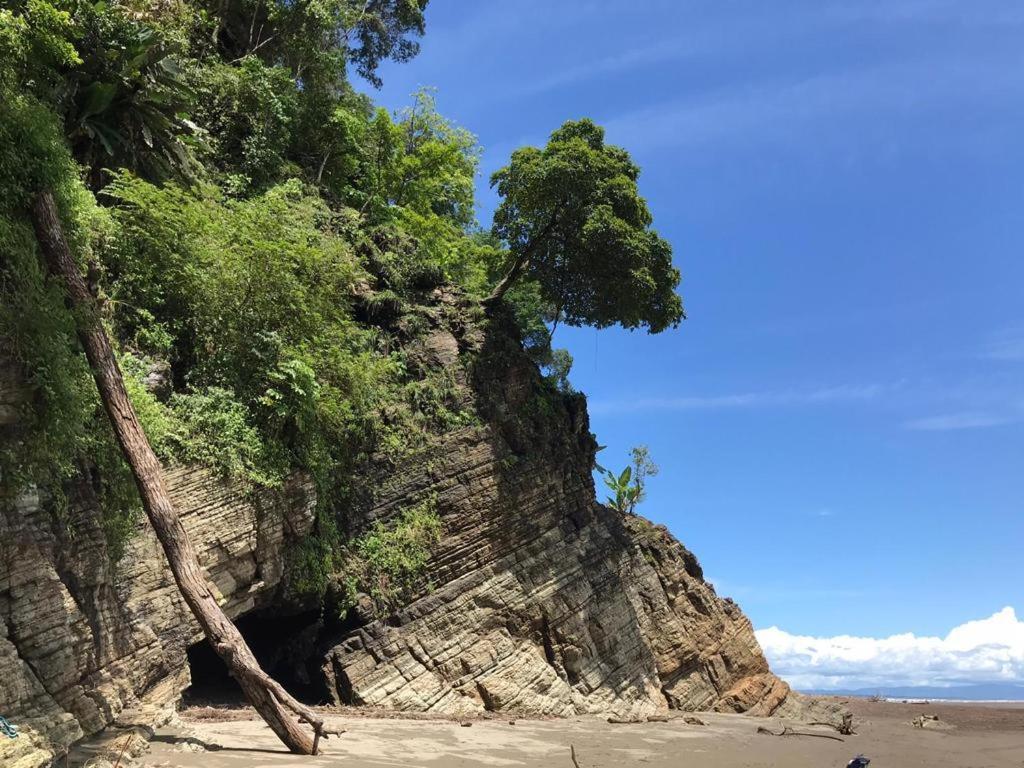 El Pulpo Safari Lodge Ojochal Eksteriør billede