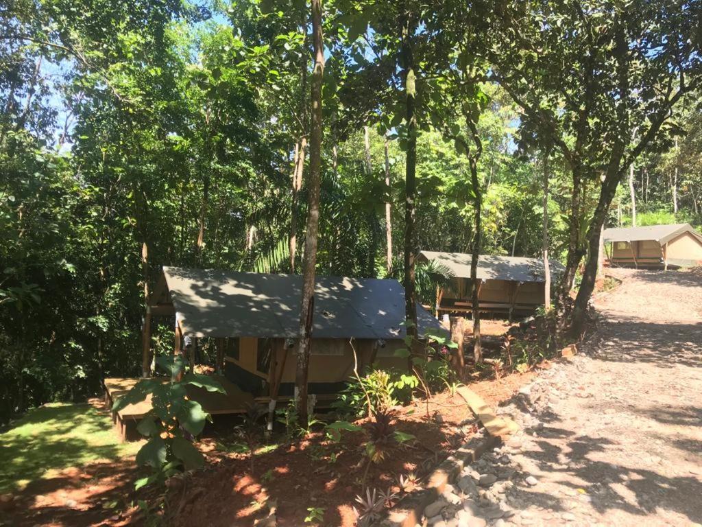 El Pulpo Safari Lodge Ojochal Eksteriør billede