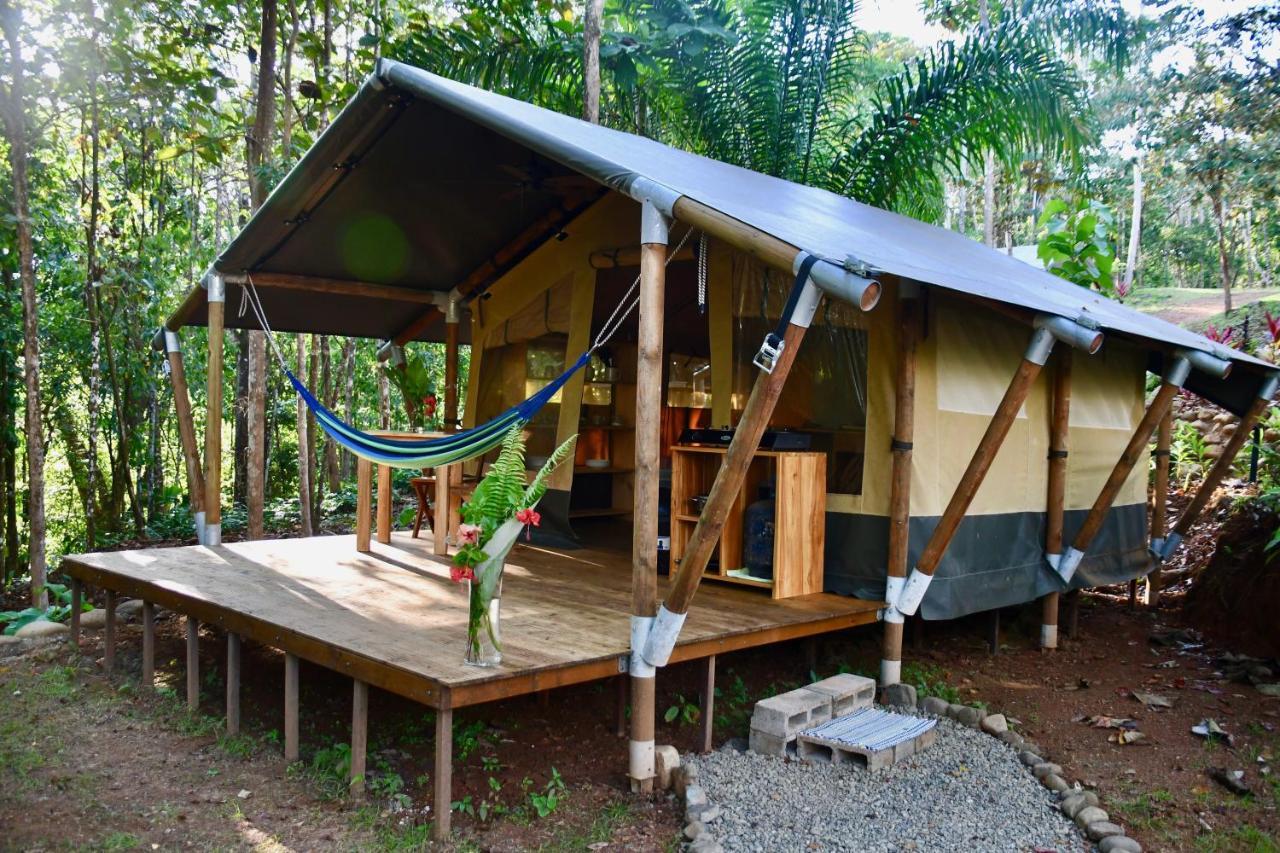 El Pulpo Safari Lodge Ojochal Eksteriør billede