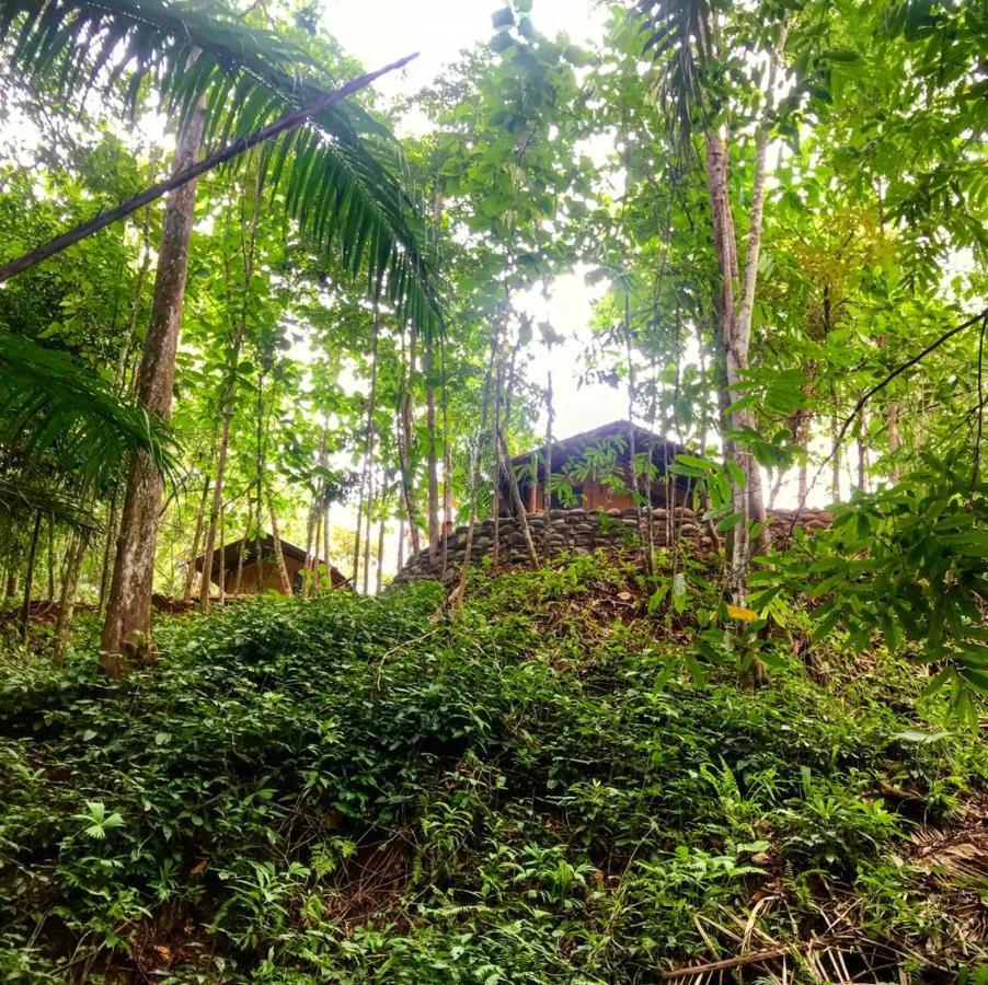 El Pulpo Safari Lodge Ojochal Eksteriør billede