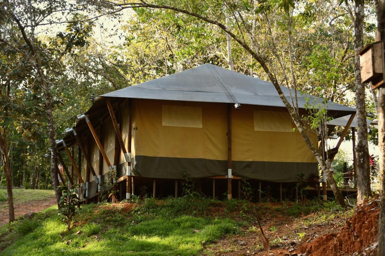 El Pulpo Safari Lodge Ojochal Eksteriør billede