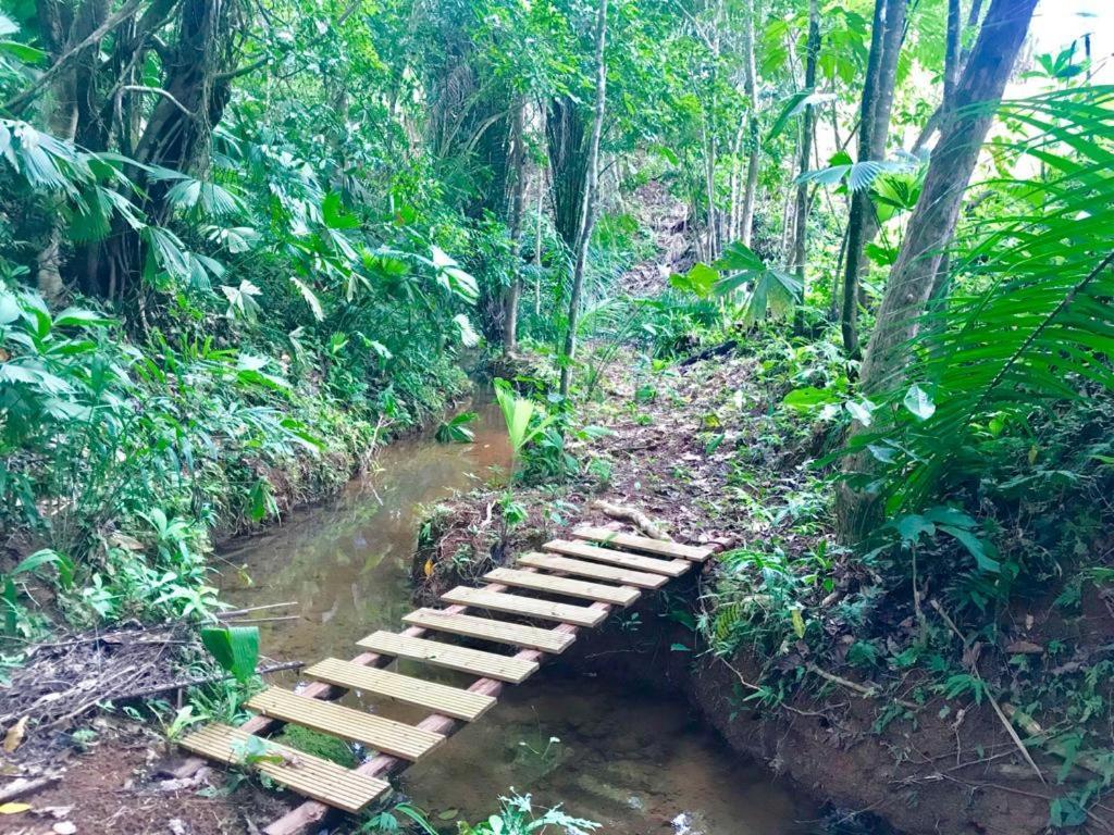 El Pulpo Safari Lodge Ojochal Eksteriør billede