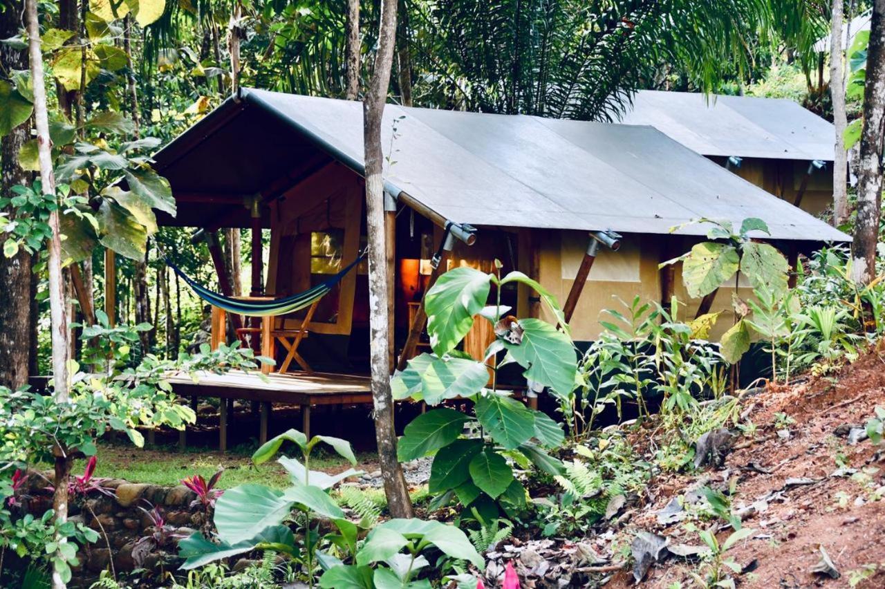 El Pulpo Safari Lodge Ojochal Eksteriør billede
