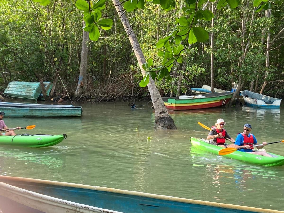El Pulpo Safari Lodge Ojochal Eksteriør billede