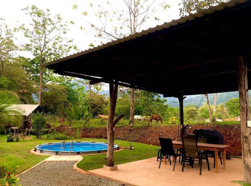 El Pulpo Safari Lodge Ojochal Eksteriør billede